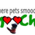 Another online community for pet lovers launches
