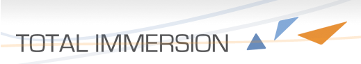 Total Immersion logo