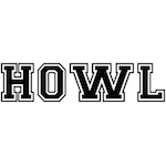 Social Media Portal interview with Shaun Mooney at HOWL blog