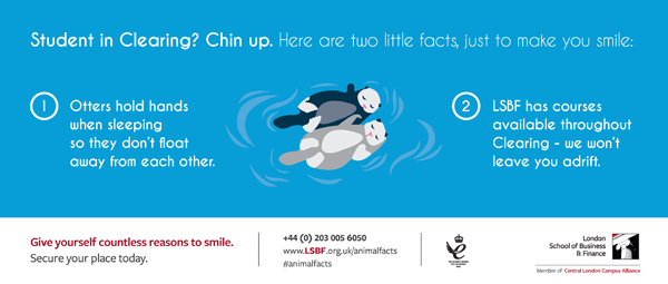 London School of Business and Finance Animal Facts campaign otters image