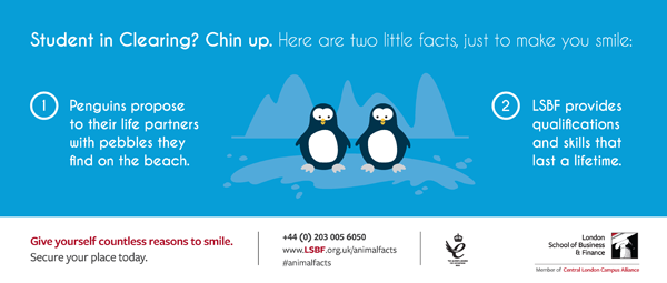 London School of Business and Finance Animal Facts campaign penguin image