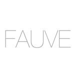Launch of FAUVE: Social-media Consulting Agency