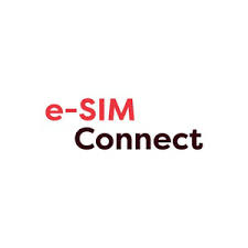 e-SIM Connect 2019 banner 300x300