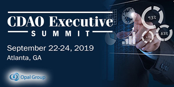 CDAO Executive Summit banner 600x300